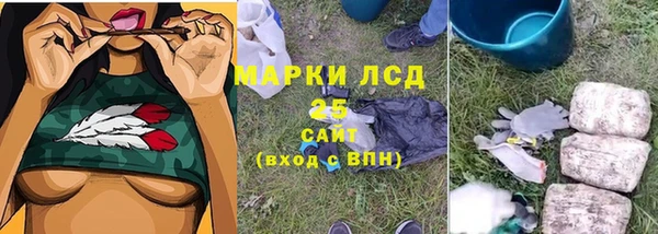гидропоника Анжеро-Судженск