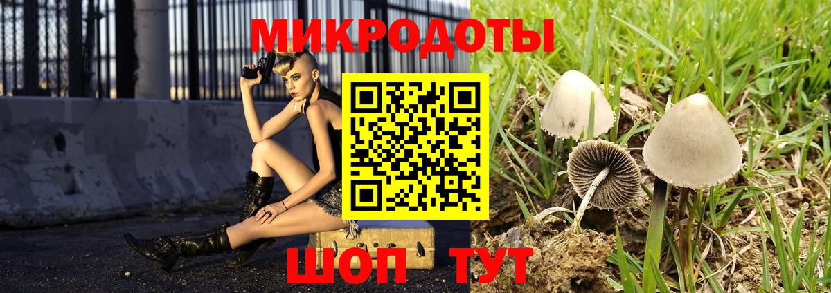 Псилоцибиновые грибы прущие грибы Красногорск