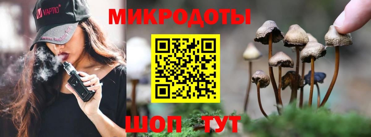 Красногорск  Галлюциногенные грибы мицелий  купить наркотик  Вход с VPN 